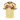 Al Ahly — Tredjedrakt 26/27 - forside